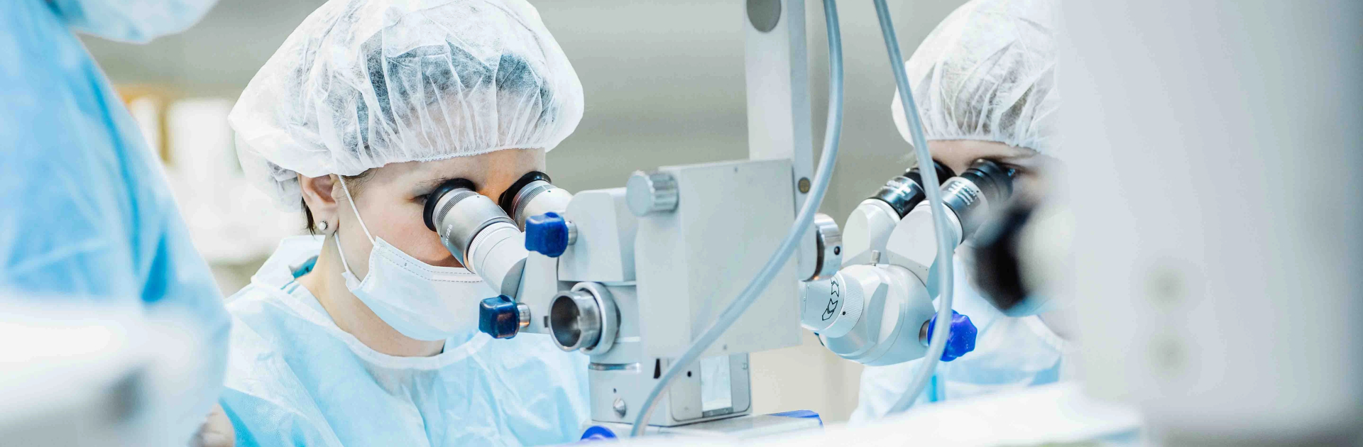 Ծառայություններ